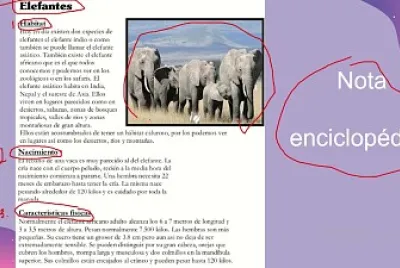 פאזל של 9 piezas