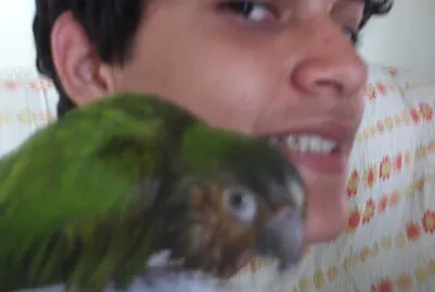 panchito