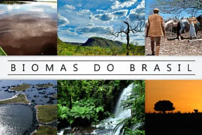 Biomas brasileiros