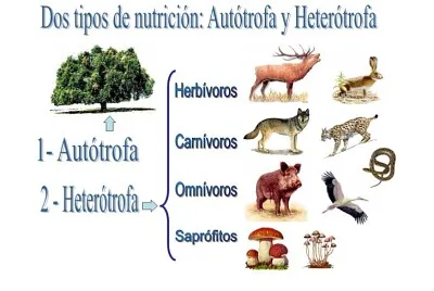 Arma el rompecabezas