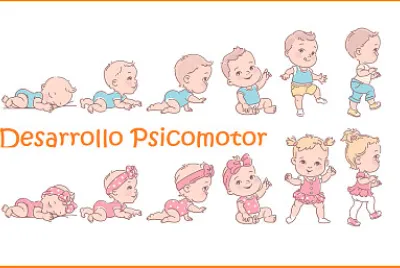 Desarrollo psicomotor