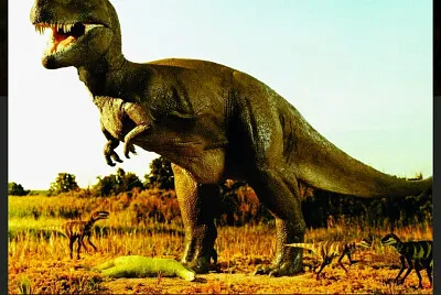 Tiranossauro Rex