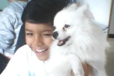 yo y mi perro