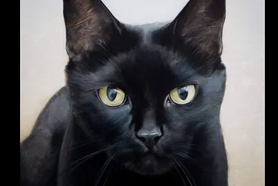 simon