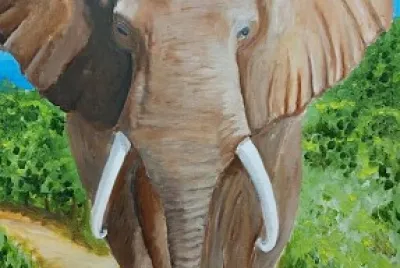 Elephant
