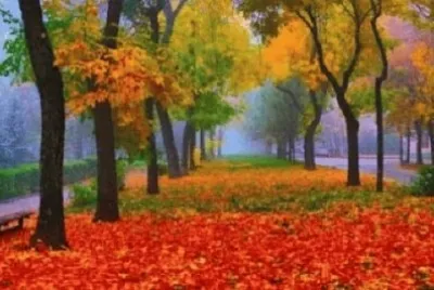 Foto jigsaw puzzle