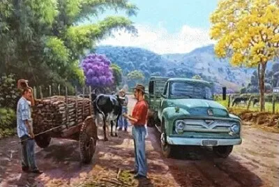 Foto