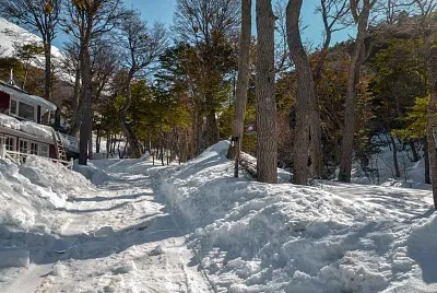 Fotos diversas jigsaw puzzle