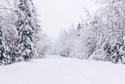 Fotos diversas jigsaw puzzle