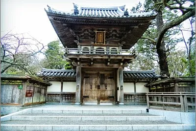 JARDIN DEL TE JAPONES