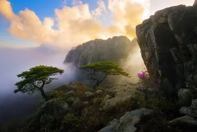 imagem jigsaw puzzle