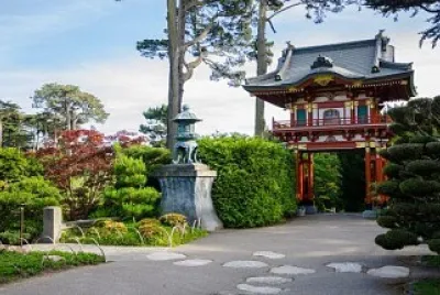 JARDIN DEL TE JAPONES 2 jigsaw puzzle