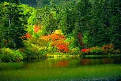 HERMOSO PAISAJE NATURAL jigsaw puzzle