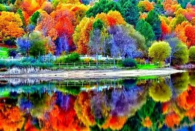 PAISAJE NATURAL COLORIDO jigsaw puzzle