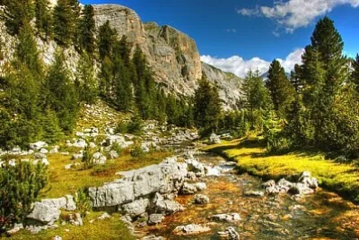 Foto jigsaw puzzle