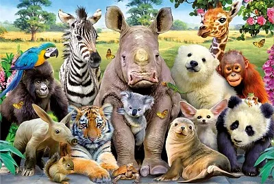 Animales salvajes