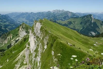 Foto jigsaw puzzle