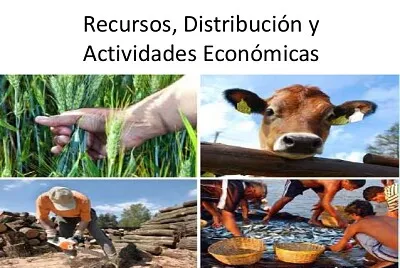פאזל של actividades economicas