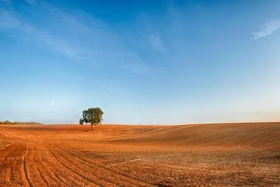 Foto jigsaw puzzle