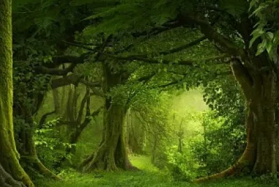 para mi clase jigsaw puzzle