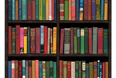 book shelf 2
