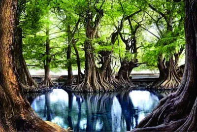 風景 jigsaw puzzle