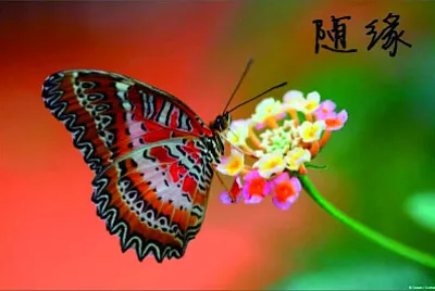 洗心
