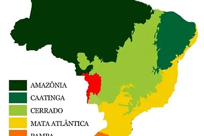 BRASIL