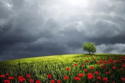 Foto jigsaw puzzle