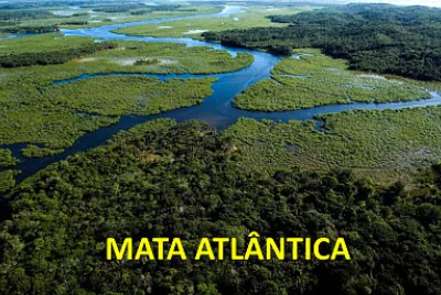 Mata Atlântica jigsaw puzzle