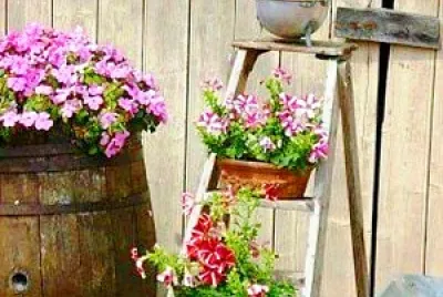 flores