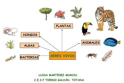 Arma el rompecabezas