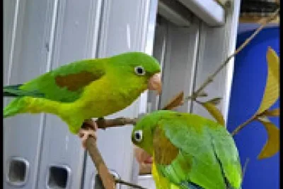 Linda y Lupe