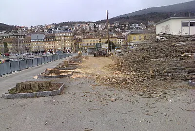 Neuchâtel abattage peupliers