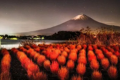 imagem jigsaw puzzle