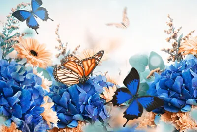 mariposa 2 jigsaw puzzle