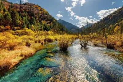 imagem jigsaw puzzle