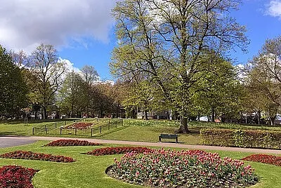 Spring In The Park