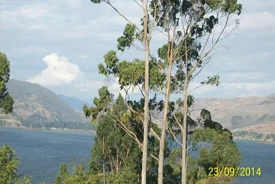 vista de la laguna de pacucha andahuylas peru jigsaw puzzle