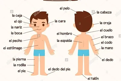 actividad 1 jigsaw puzzle