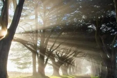 CENÁRIO K580 jigsaw puzzle