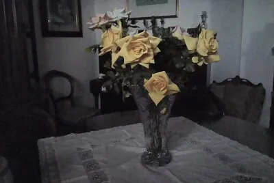i fiori del salone