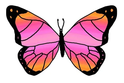 Colorful Butterfly