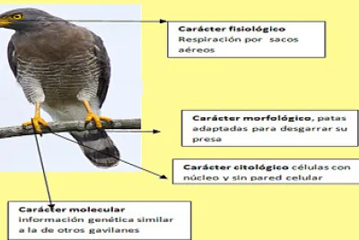Arma el rompecabezas