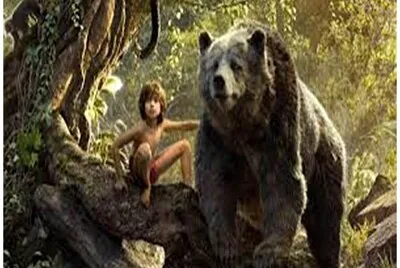 Mowgli 03