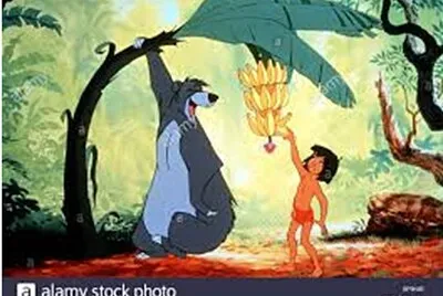 Mowgli 06