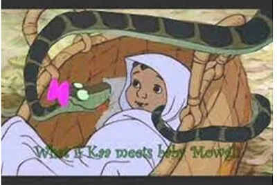 Mowgli 14