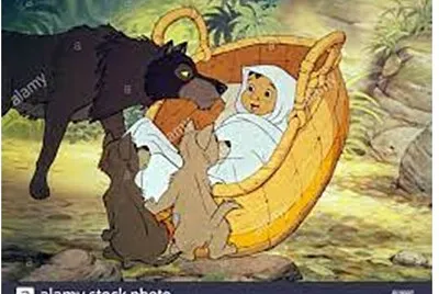 Mowgli 16