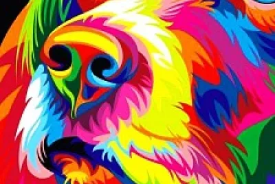 Beautiful Dog