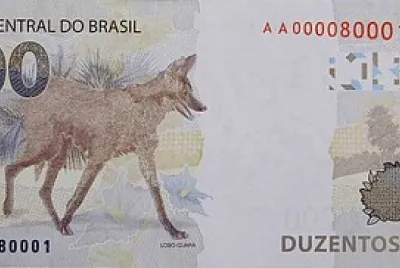 Cédulas de real jigsaw puzzle